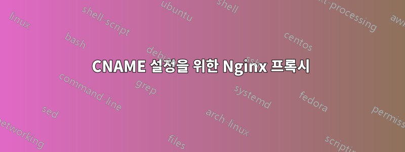CNAME 설정을 위한 Nginx 프록시