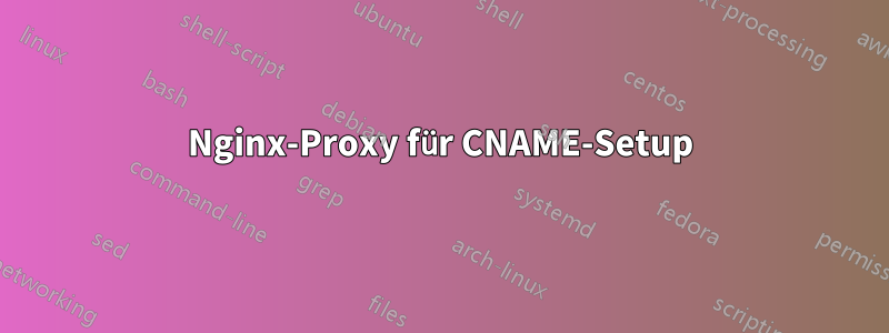 Nginx-Proxy für CNAME-Setup