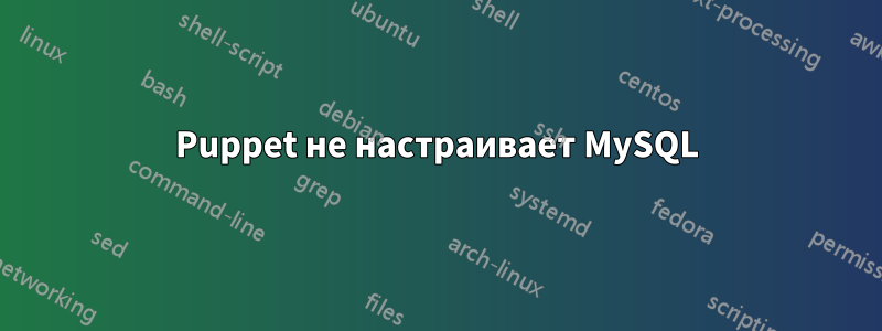 Puppet не настраивает MySQL