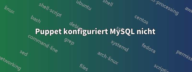 Puppet konfiguriert MySQL nicht