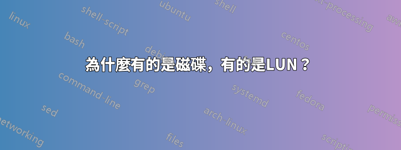 為什麼有的是磁碟，有的是LUN？