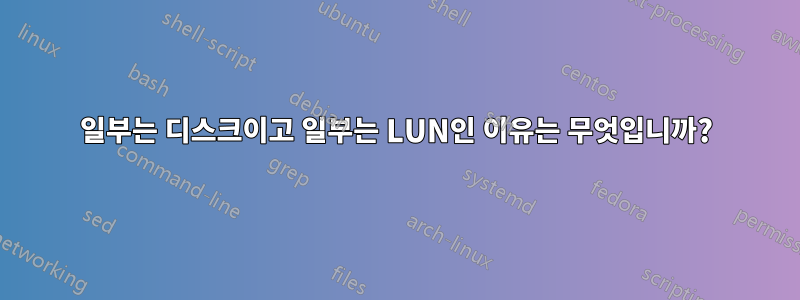 일부는 디스크이고 일부는 LUN인 이유는 무엇입니까?