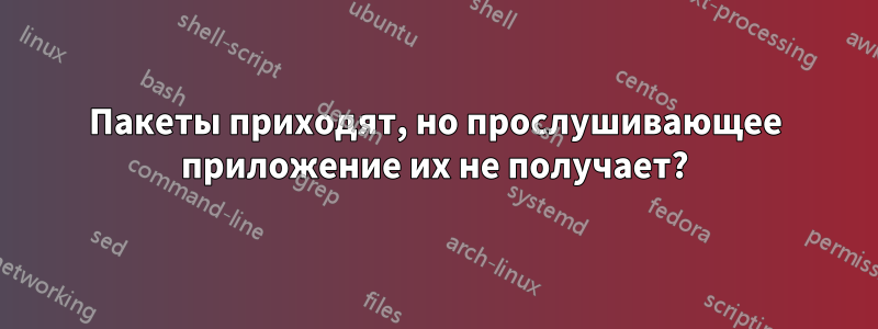 Пакеты приходят, но прослушивающее приложение их не получает?