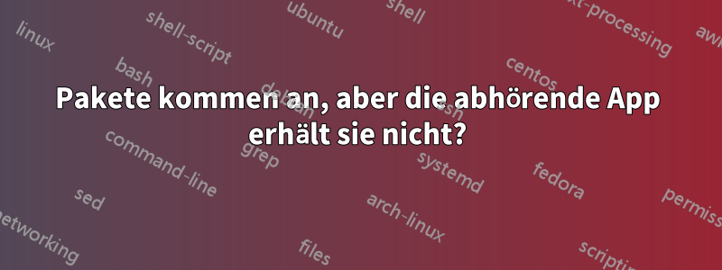 Pakete kommen an, aber die abhörende App erhält sie nicht?