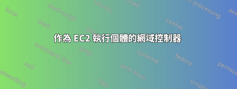 作為 EC2 執行個體的網域控制器