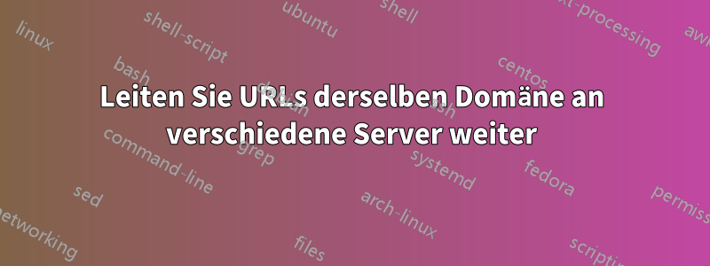 Leiten Sie URLs derselben Domäne an verschiedene Server weiter