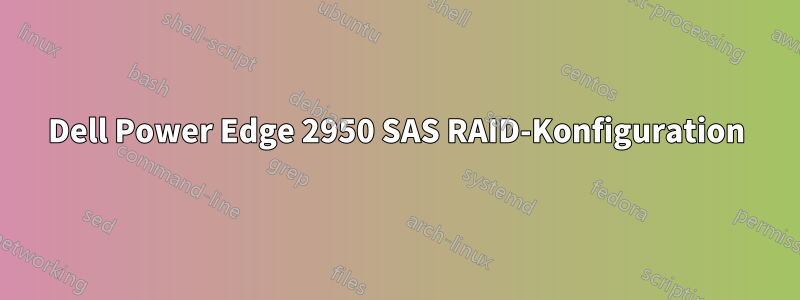 Dell Power Edge 2950 SAS RAID-Konfiguration