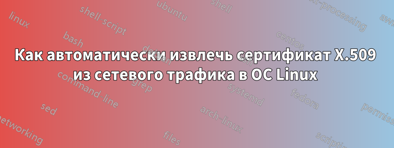 Как автоматически извлечь сертификат X.509 из сетевого трафика в ОС Linux