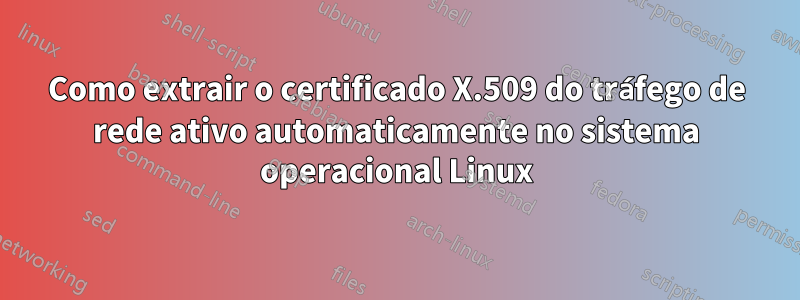 Como extrair o certificado X.509 do tráfego de rede ativo automaticamente no sistema operacional Linux