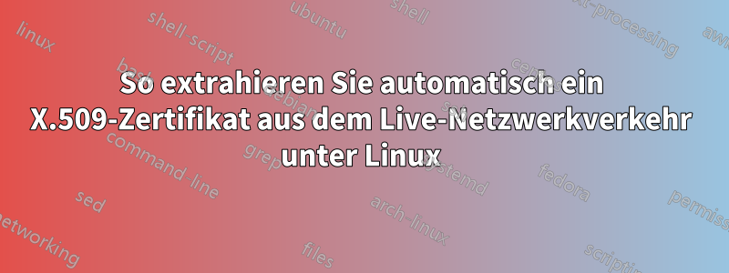 So extrahieren Sie automatisch ein X.509-Zertifikat aus dem Live-Netzwerkverkehr unter Linux