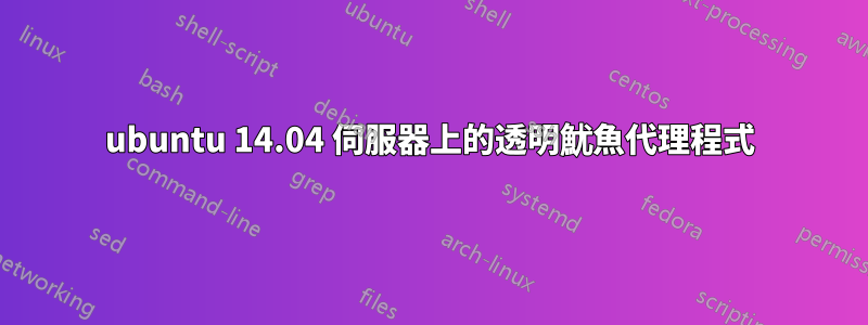 ubuntu 14.04 伺服器上的透明魷魚代理程式