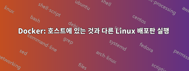 Docker: 호스트에 있는 것과 다른 Linux 배포판 실행