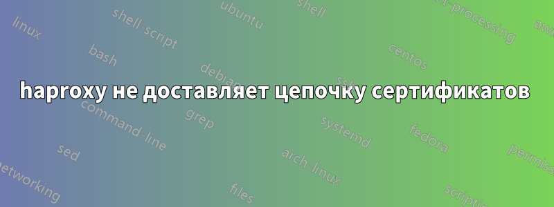 haproxy не доставляет цепочку сертификатов