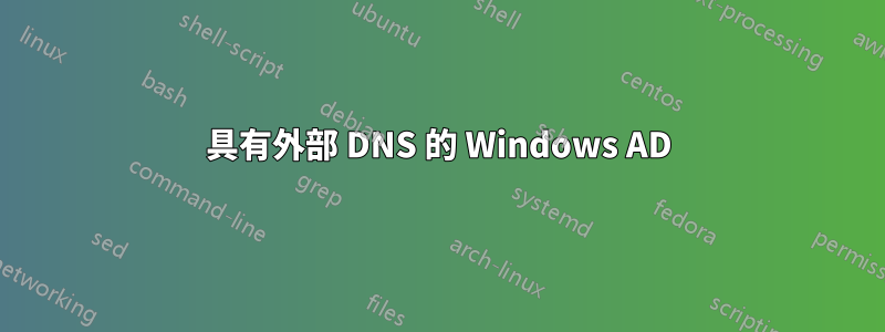 具有外部 DNS 的 Windows AD