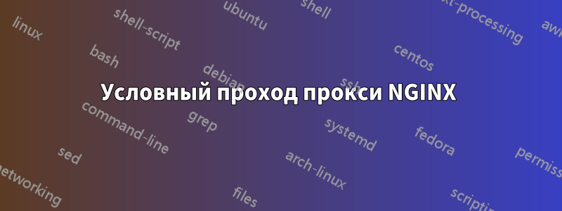 Условный проход прокси NGINX