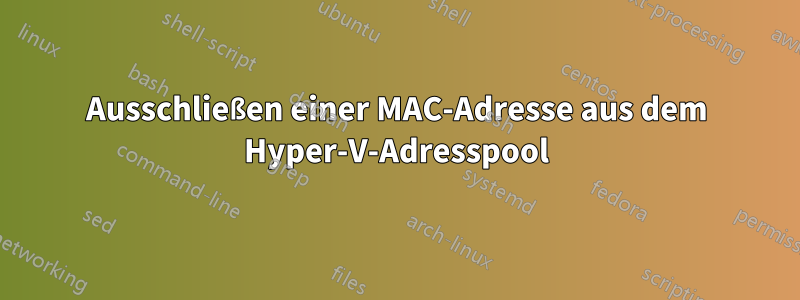 Ausschließen einer MAC-Adresse aus dem Hyper-V-Adresspool