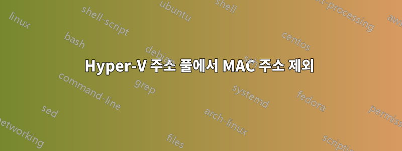 Hyper-V 주소 풀에서 MAC 주소 제외