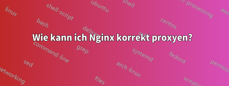 Wie kann ich Nginx korrekt proxyen? 