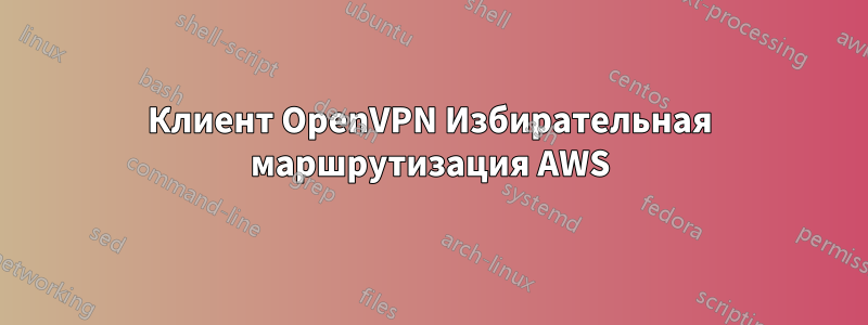 Клиент OpenVPN Избирательная маршрутизация AWS