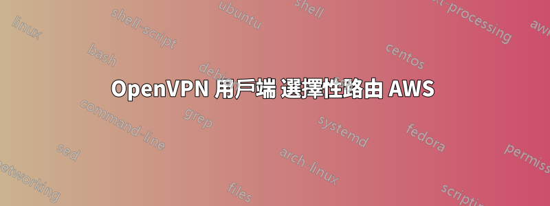 OpenVPN 用戶端 選擇性路由 AWS