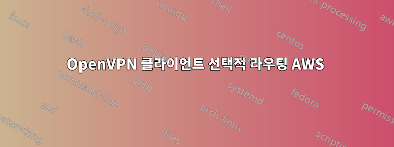 OpenVPN 클라이언트 선택적 라우팅 AWS