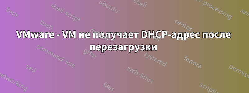 VMware - VM не получает DHCP-адрес после перезагрузки