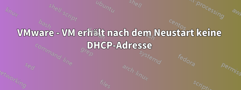 VMware - VM erhält nach dem Neustart keine DHCP-Adresse