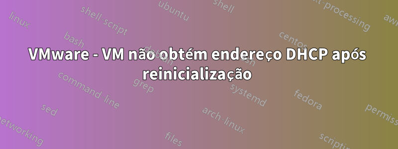 VMware - VM não obtém endereço DHCP após reinicialização