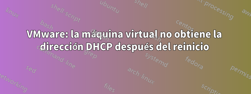 VMware: la máquina virtual no obtiene la dirección DHCP después del reinicio