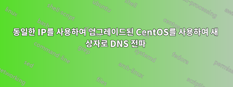 동일한 IP를 사용하여 업그레이드된 CentOS를 사용하여 새 상자로 DNS 전파