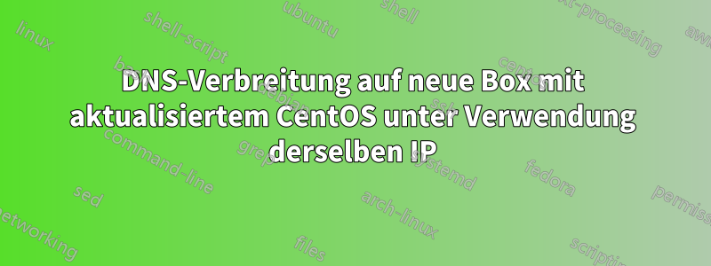 DNS-Verbreitung auf neue Box mit aktualisiertem CentOS unter Verwendung derselben IP