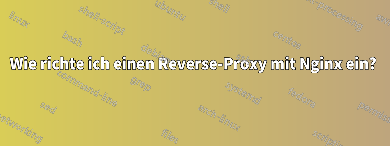 Wie richte ich einen Reverse-Proxy mit Nginx ein?