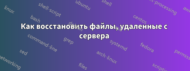 Как восстановить файлы, удаленные с сервера