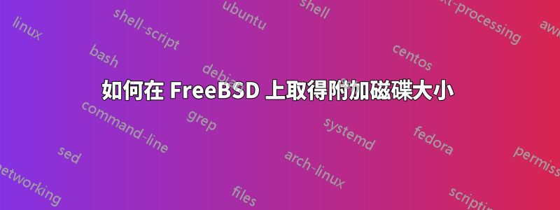 如何在 FreeBSD 上取得附加磁碟大小