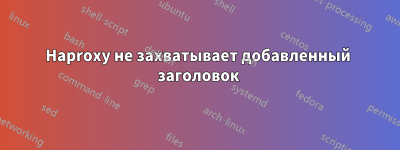 Haproxy не захватывает добавленный заголовок