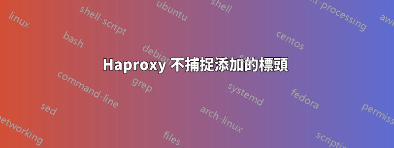 Haproxy 不捕捉添加的標頭