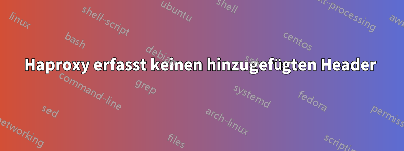 Haproxy erfasst keinen hinzugefügten Header