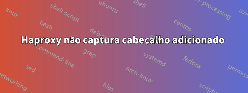 Haproxy não captura cabeçalho adicionado