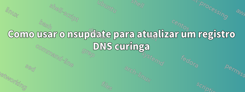 Como usar o nsupdate para atualizar um registro DNS curinga