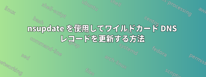 nsupdate を使用してワイルドカード DNS レコードを更新する方法