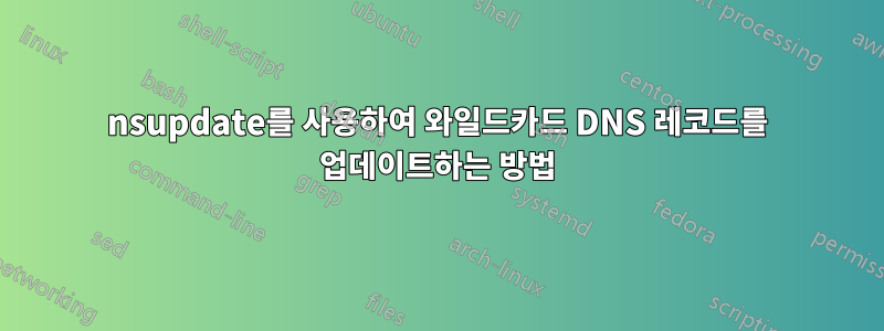 nsupdate를 사용하여 와일드카드 DNS 레코드를 업데이트하는 방법