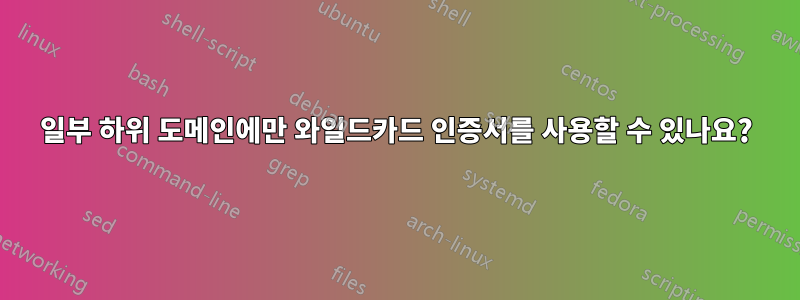 일부 하위 도메인에만 와일드카드 인증서를 사용할 수 있나요?