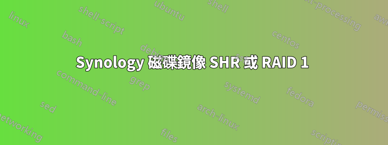 Synology 磁碟鏡像 SHR 或 RAID 1