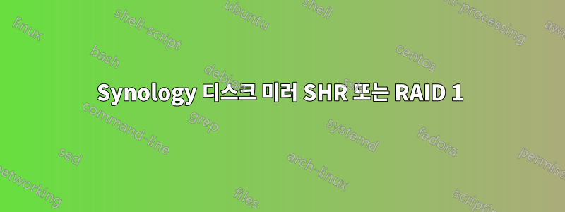 Synology 디스크 미러 SHR 또는 RAID 1