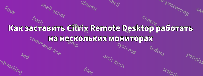 Как заставить Citrix Remote Desktop работать на нескольких мониторах