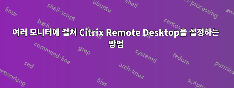 여러 모니터에 걸쳐 Citrix Remote Desktop을 설정하는 방법