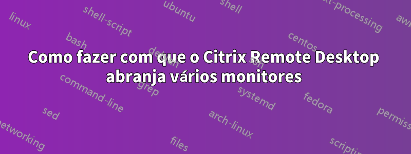 Como fazer com que o Citrix Remote Desktop abranja vários monitores