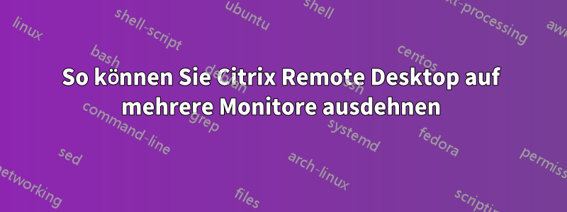 So können Sie Citrix Remote Desktop auf mehrere Monitore ausdehnen