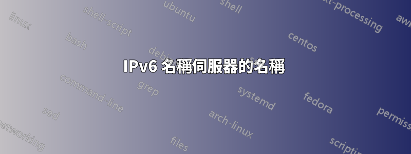 IPv6 名稱伺服器的名稱