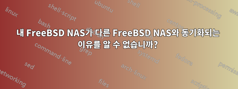 내 FreeBSD NAS가 다른 FreeBSD NAS와 동기화되는 이유를 알 수 없습니까?